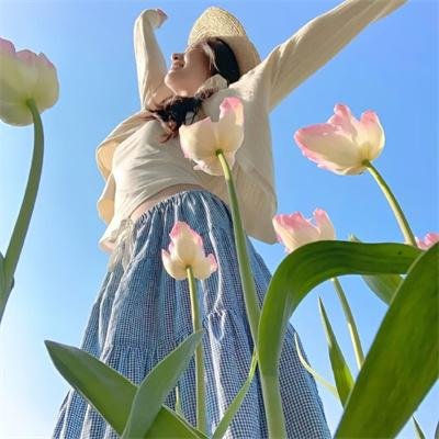 谍血柔肠封面